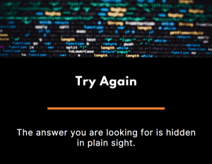 Try Again: the answer you are looking for is hidden in plain sight